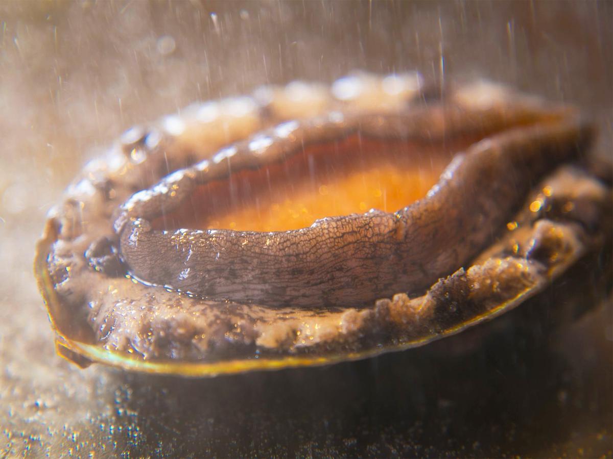 Iki Stellacote Taiankaku Exteriér fotografie